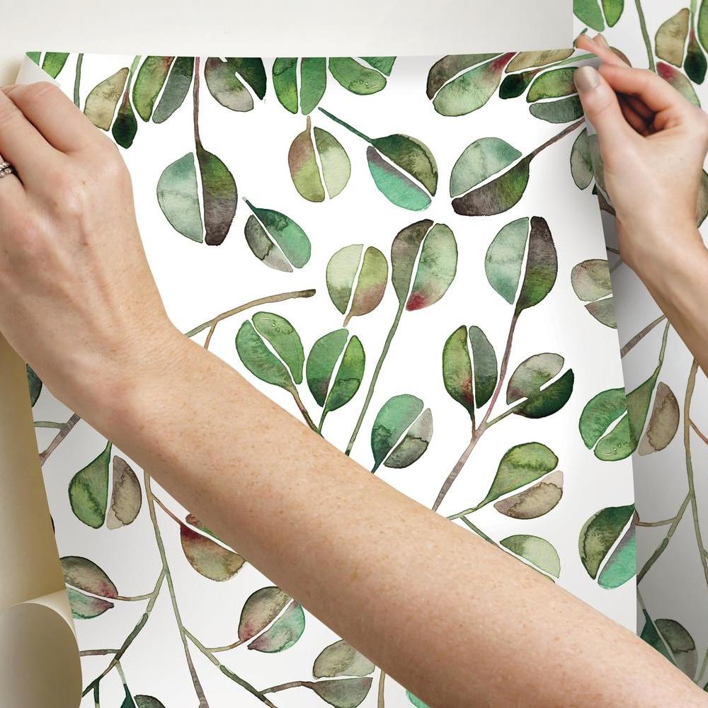 Cat Coquillette Eucalyptus Peel and Stick Wallpaper Peel and Stick Wallpaper RoomMates   