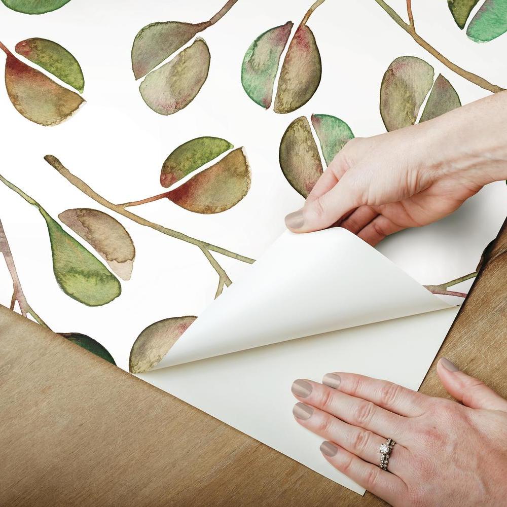 Cat Coquillette Eucalyptus Peel and Stick Wallpaper Peel and Stick Wallpaper RoomMates   