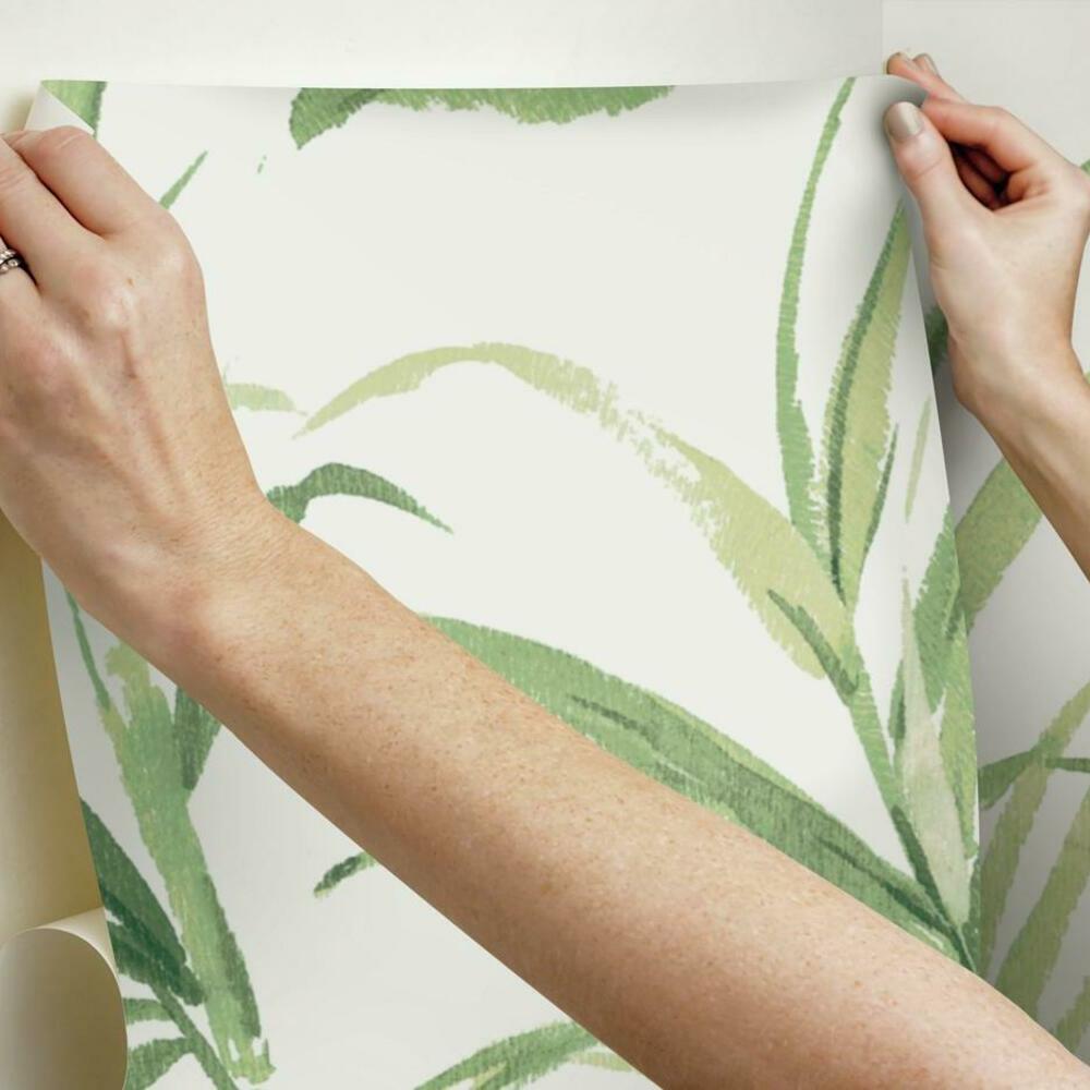 Fern Forest Peel and Stick Wallpaper Mural Wall Murals RoomMates   