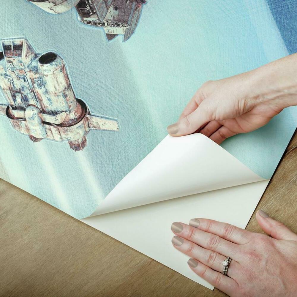 Star Wars: The Rise of Skywalker Peel and Stick Mural Wall Murals RoomMates   
