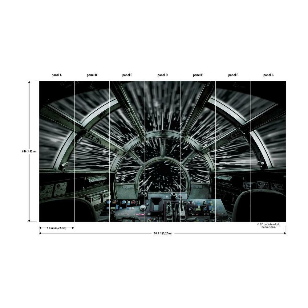 Star Wars Millennium Falcon Peel and Stick Mural Wall Murals RoomMates   