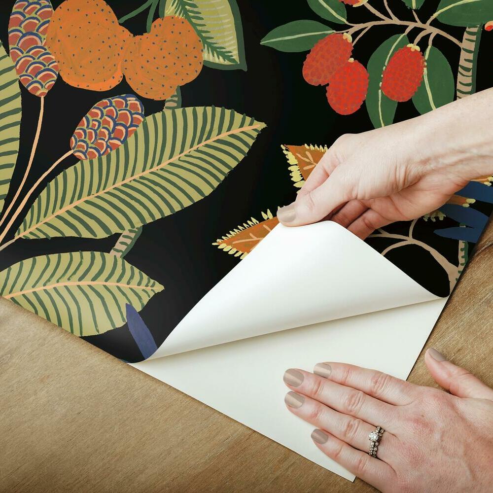Funky Jungle Peel and Stick Wallpaper Peel and Stick Wallpaper RoomMates   