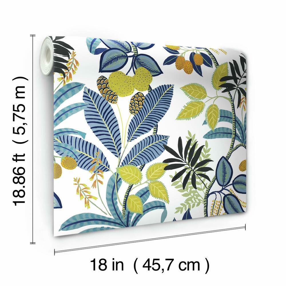 Funky Jungle Peel and Stick Wallpaper Peel and Stick Wallpaper RoomMates   