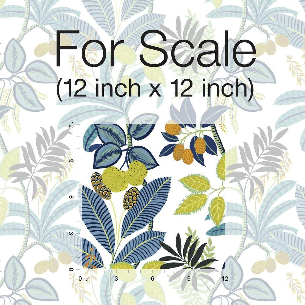 Funky Jungle Peel and Stick Wallpaper Peel and Stick Wallpaper RoomMates   