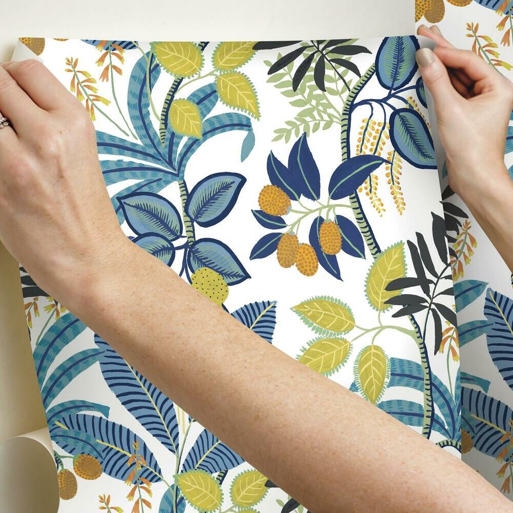 Funky Jungle Peel and Stick Wallpaper Peel and Stick Wallpaper RoomMates   