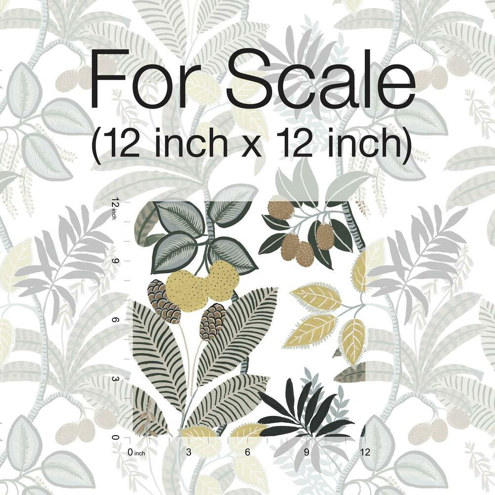 Funky Jungle Peel and Stick Wallpaper Peel and Stick Wallpaper RoomMates   