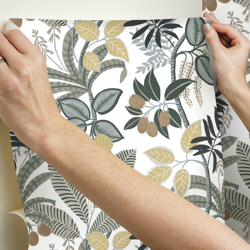Funky Jungle Peel and Stick Wallpaper Peel and Stick Wallpaper RoomMates   