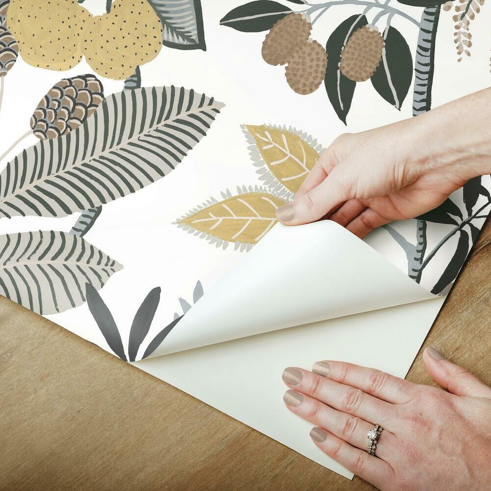 Funky Jungle Peel and Stick Wallpaper Peel and Stick Wallpaper RoomMates   