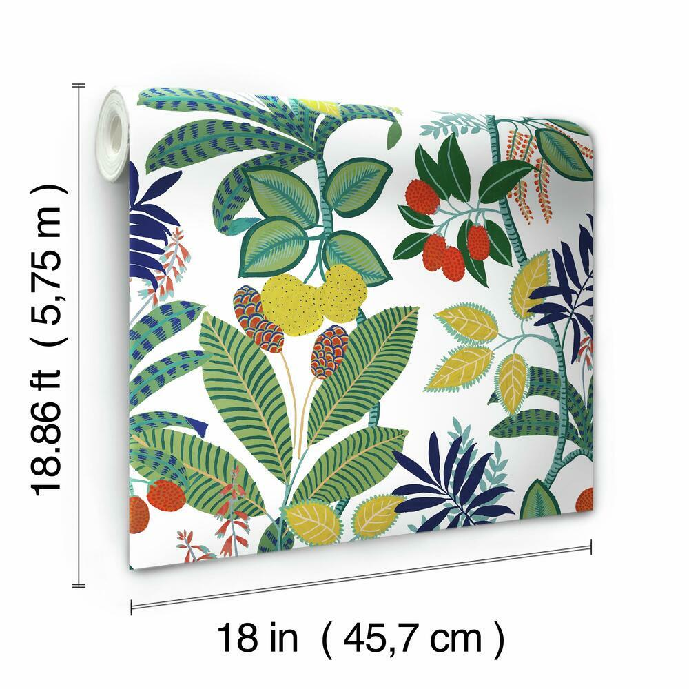 Funky Jungle Peel and Stick Wallpaper Peel and Stick Wallpaper RoomMates   