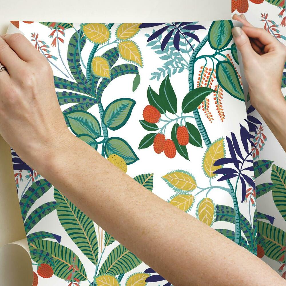 Funky Jungle Peel and Stick Wallpaper Peel and Stick Wallpaper RoomMates   
