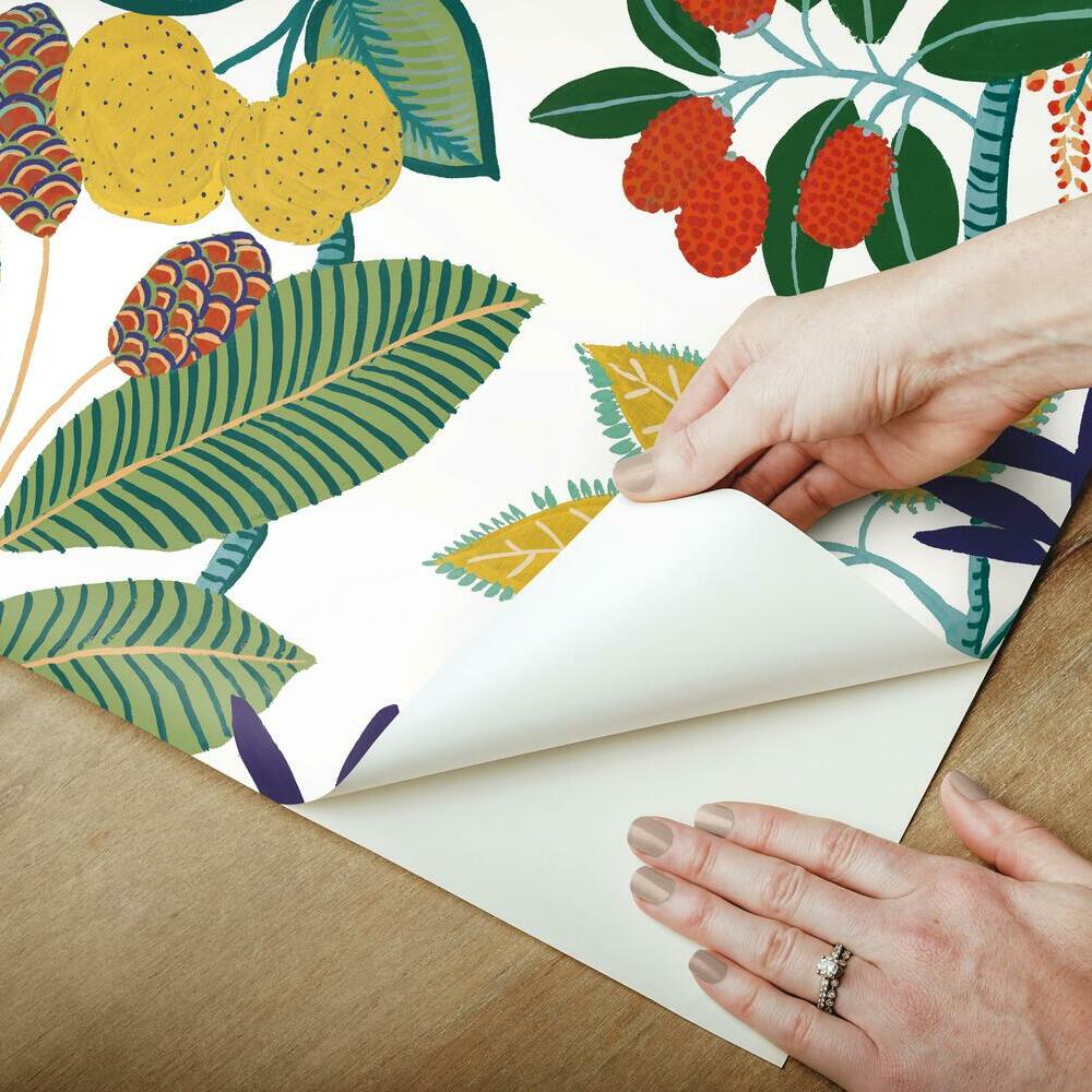 Funky Jungle Peel and Stick Wallpaper Peel and Stick Wallpaper RoomMates   