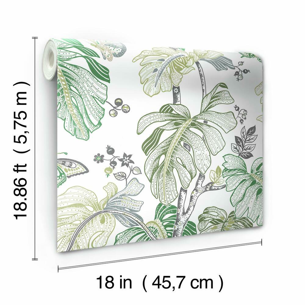 Boho Palm Peel and Stick Wallpaper Peel and Stick Wallpaper RoomMates   