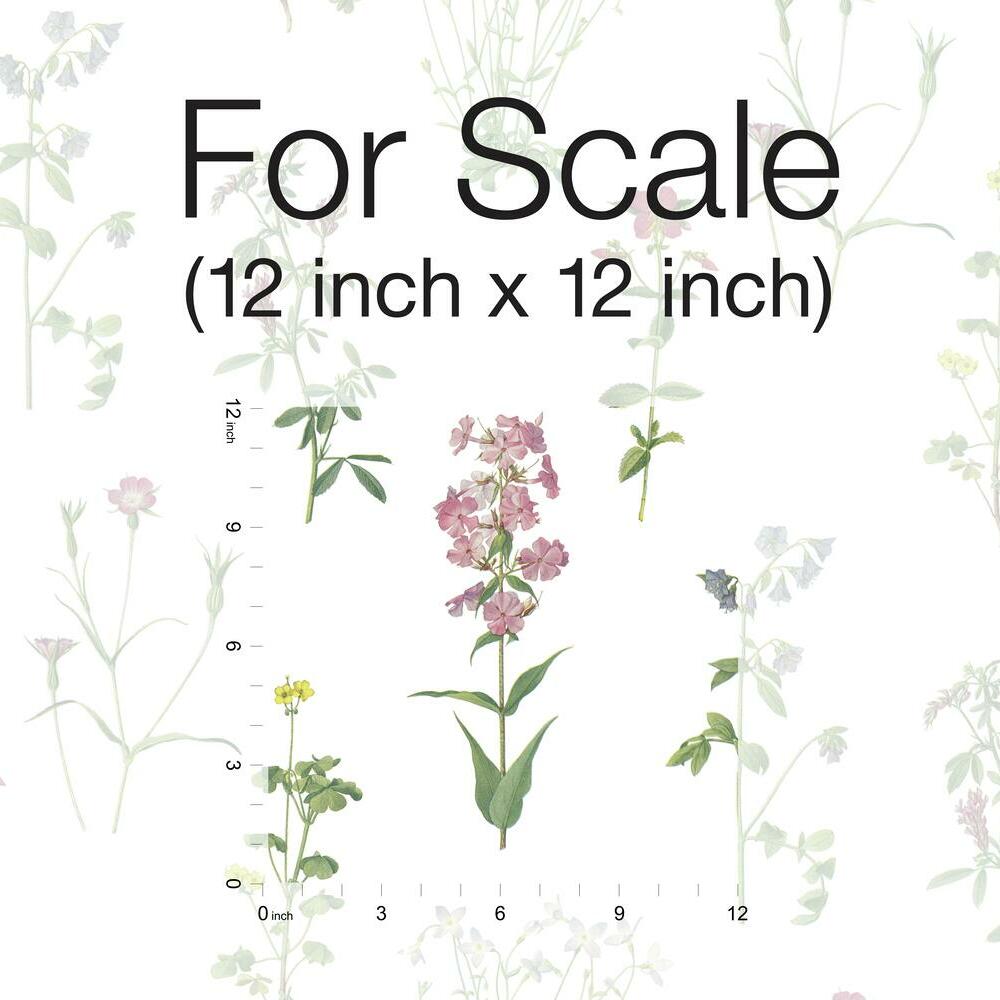 Botanical Peel and Stick Wallpaper Peel and Stick Wallpaper RoomMates   