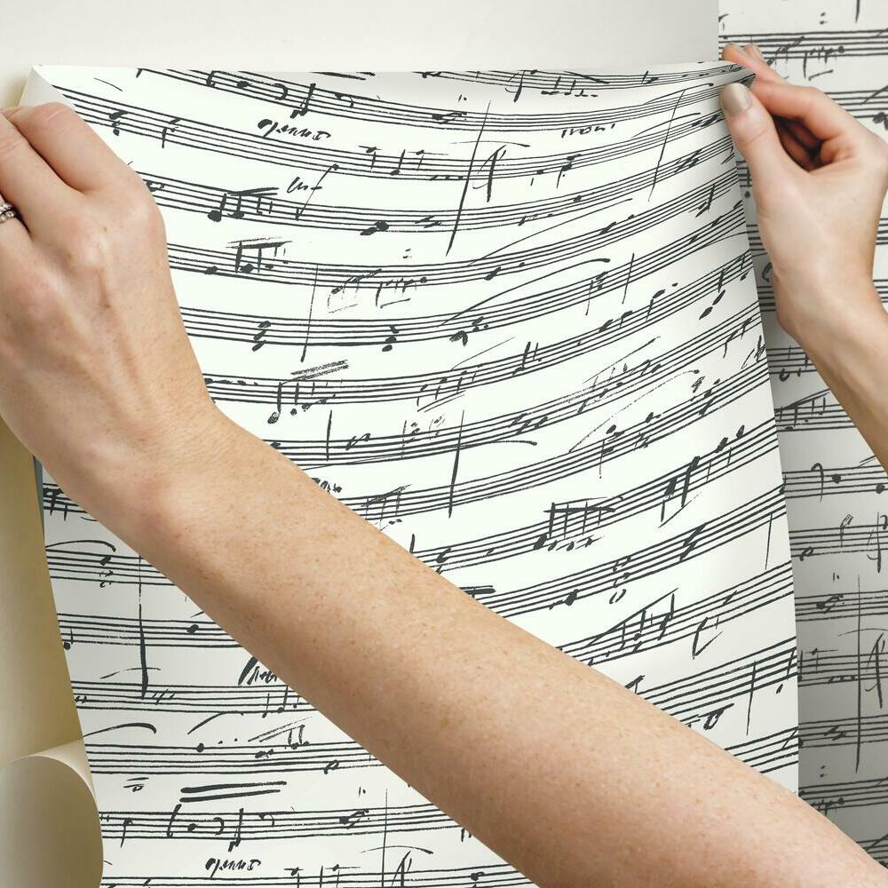 Melody Peel and Stick Wallpaper Peel and Stick Wallpaper RoomMates   