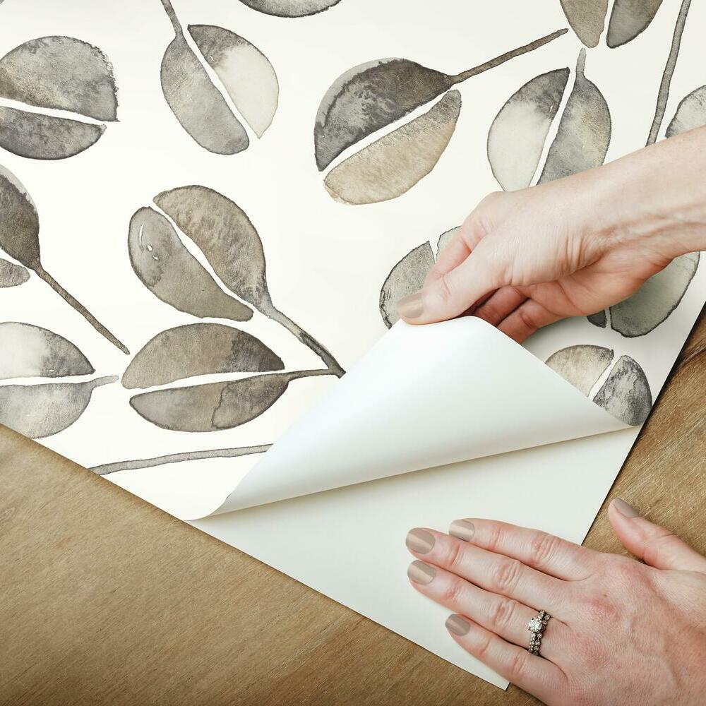 Cat Coquillette Eucalyptus Peel and Stick Wallpaper Peel and Stick Wallpaper RoomMates   