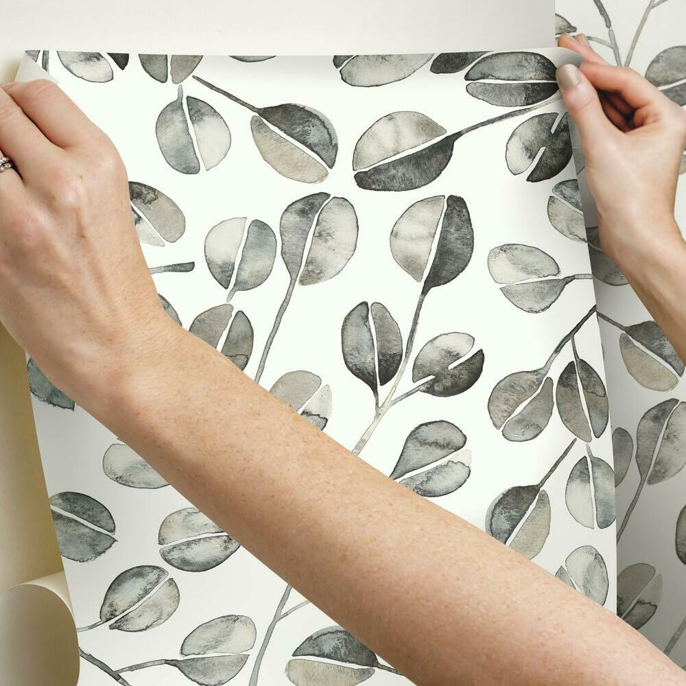 Cat Coquillette Eucalyptus Peel and Stick Wallpaper Peel and Stick Wallpaper RoomMates   
