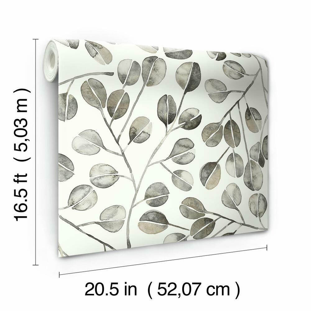 Cat Coquillette Eucalyptus Peel and Stick Wallpaper Peel and Stick Wallpaper RoomMates   