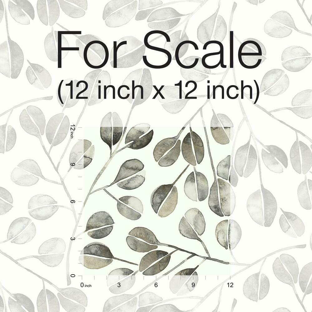 Cat Coquillette Eucalyptus Peel and Stick Wallpaper Peel and Stick Wallpaper RoomMates   