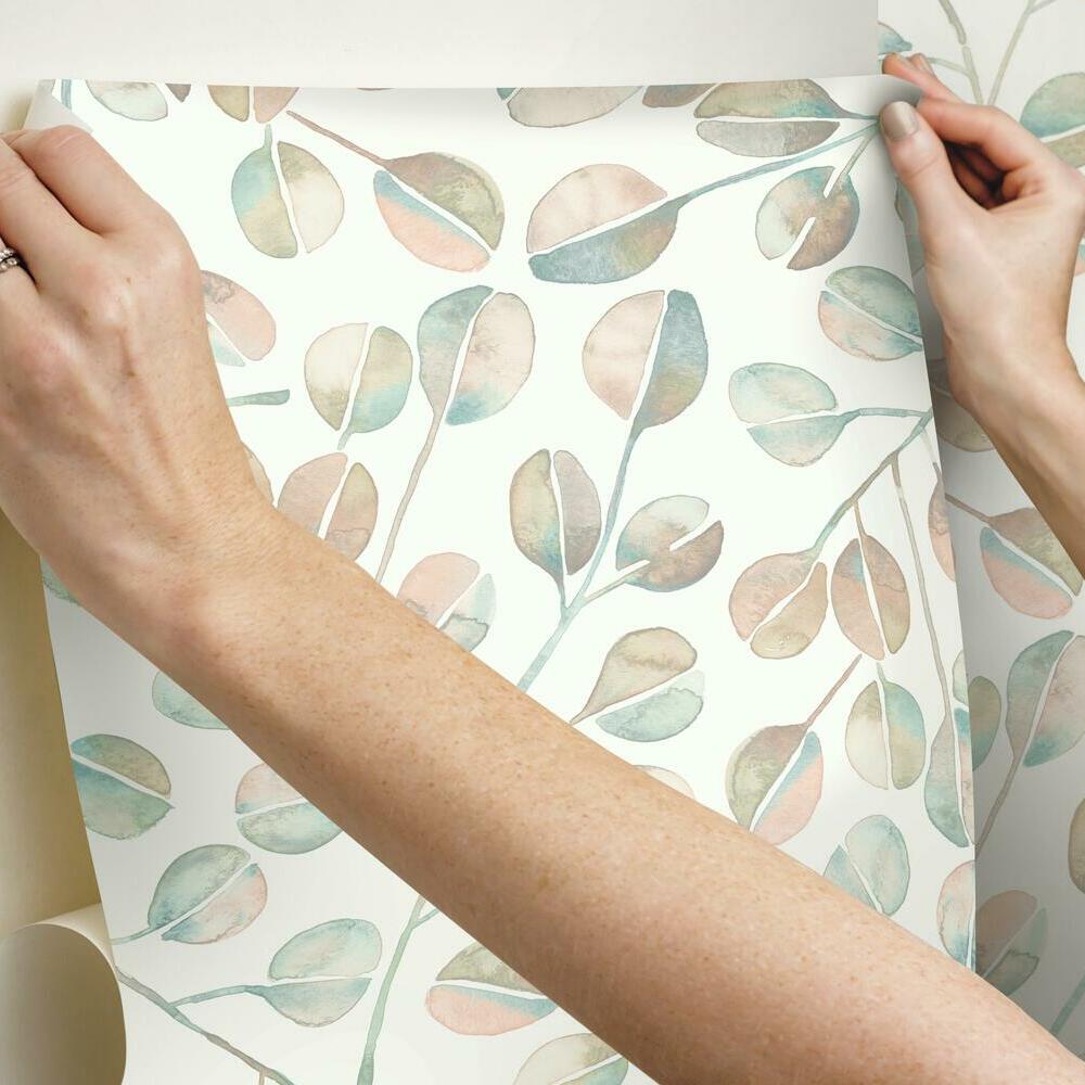 Cat Coquillette Eucalyptus Peel and Stick Wallpaper Peel and Stick Wallpaper RoomMates   