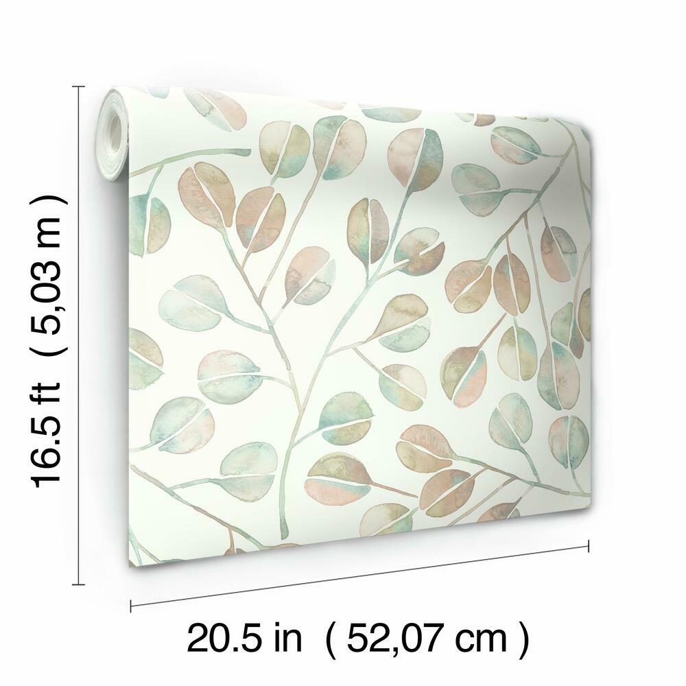 Cat Coquillette Eucalyptus Peel and Stick Wallpaper Peel and Stick Wallpaper RoomMates   