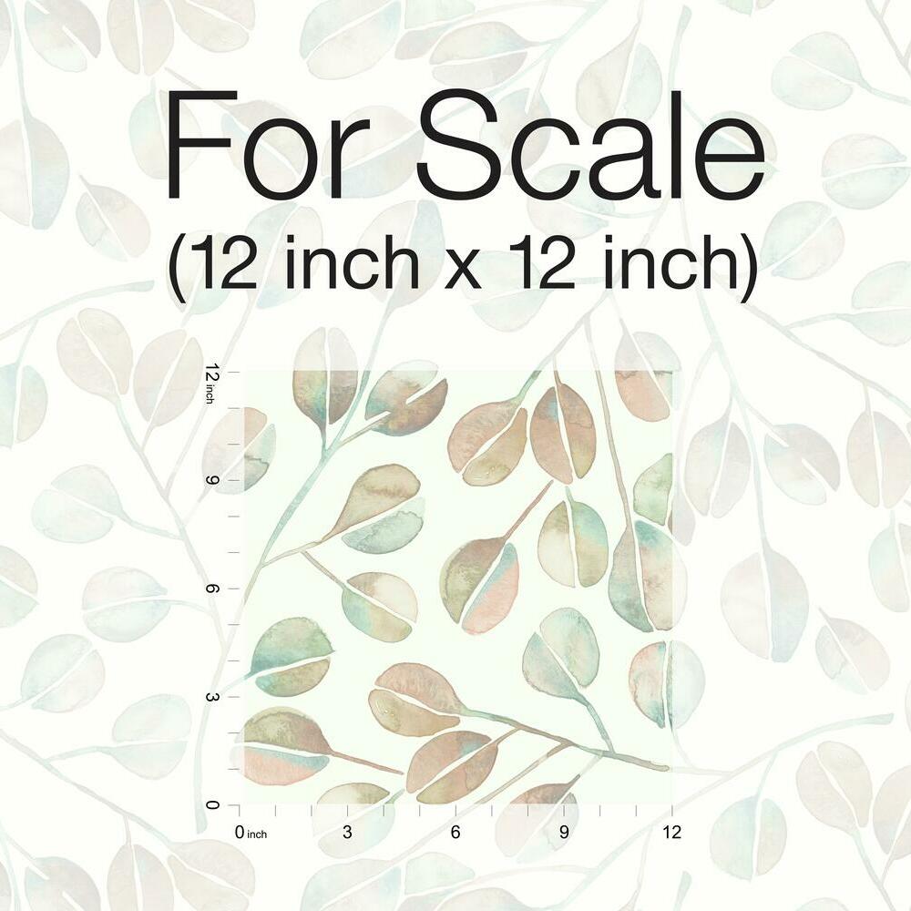 Cat Coquillette Eucalyptus Peel and Stick Wallpaper Peel and Stick Wallpaper RoomMates   