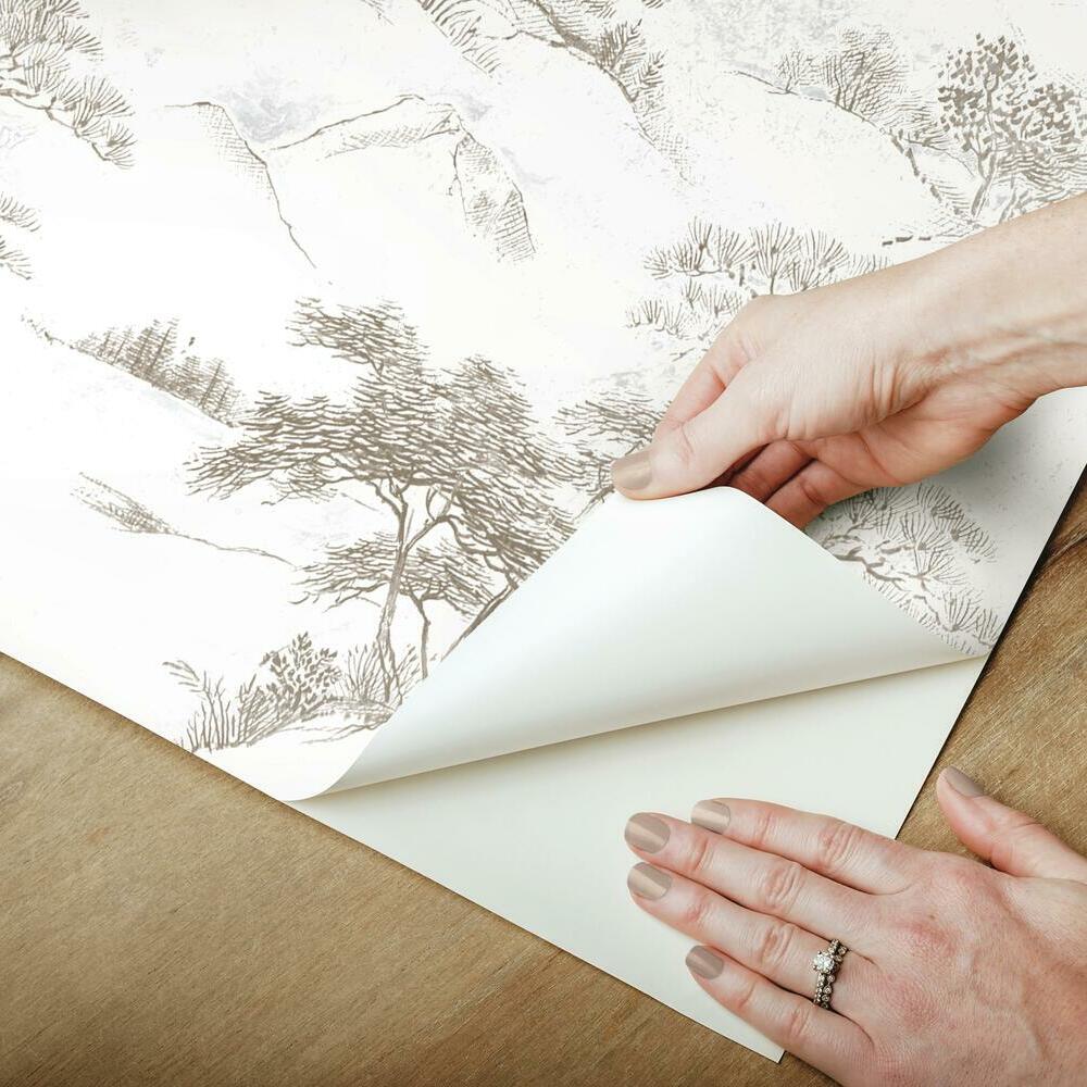 Oriental Toile Peel and Stick Wallpaper Peel and Stick Wallpaper RoomMates   