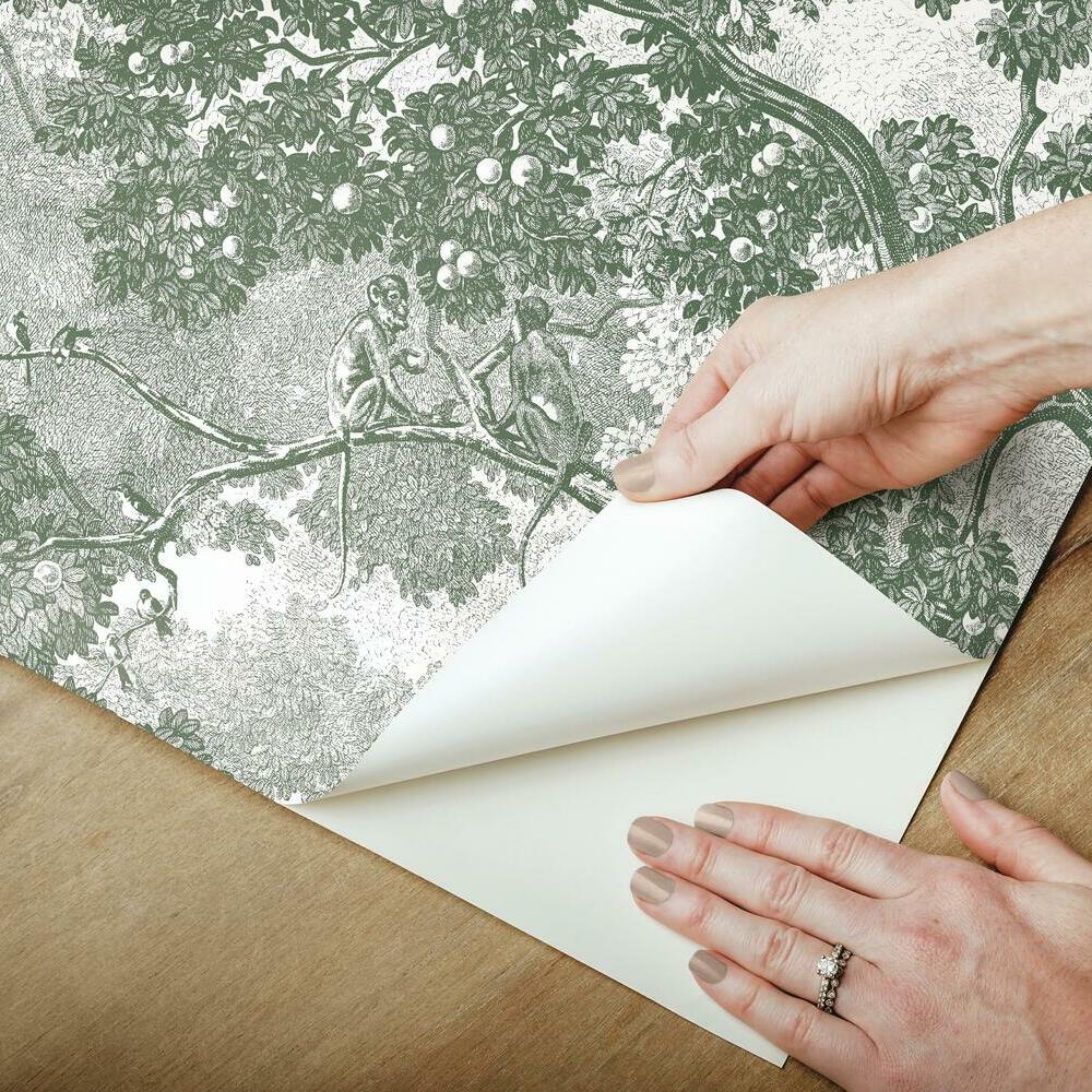 Jungle Toile Peel and Stick Wallpaper Peel and Stick Wallpaper RoomMates   