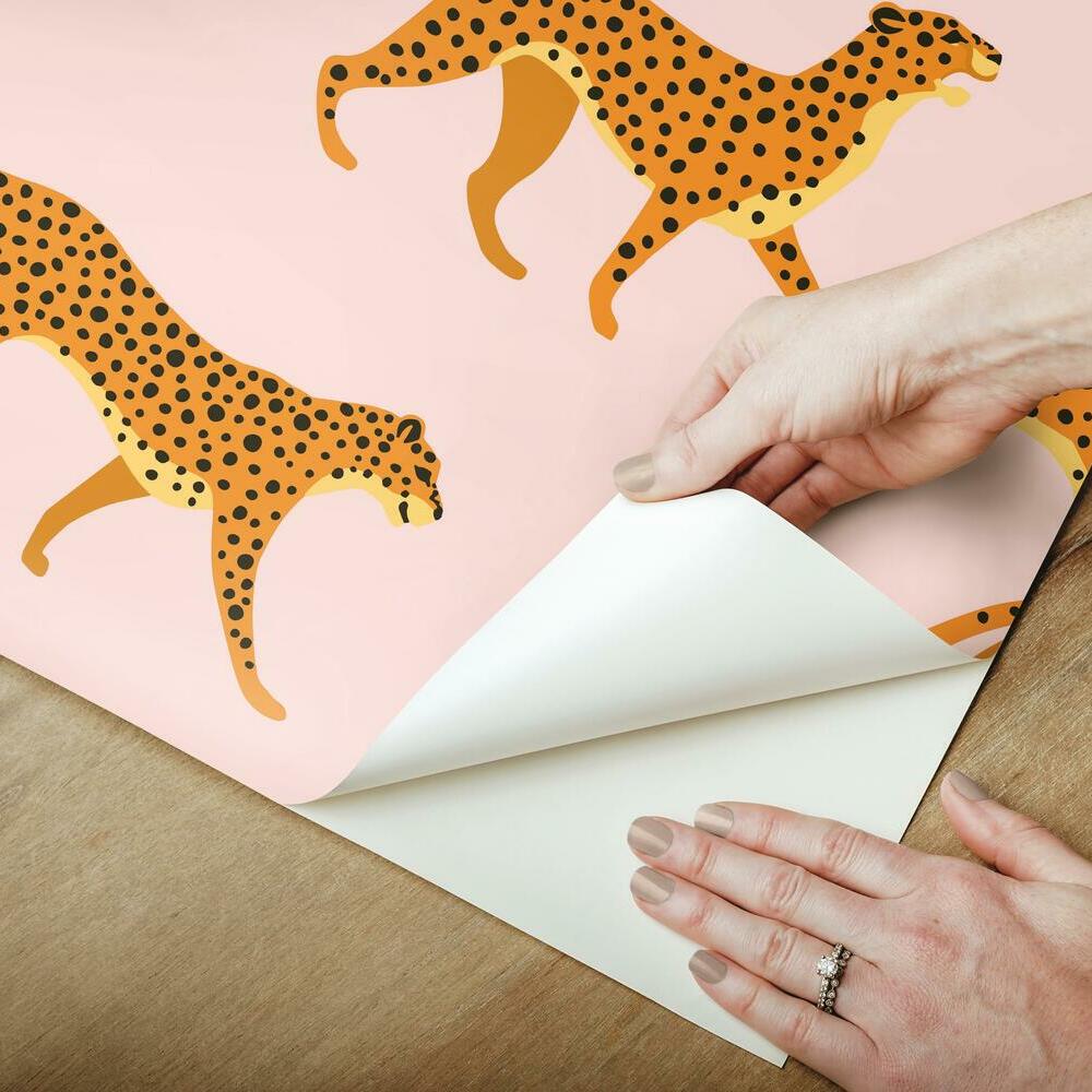 Cheetah Cheetah Peel and Stick Wallpaper Peel and Stick Wallpaper RoomMates   