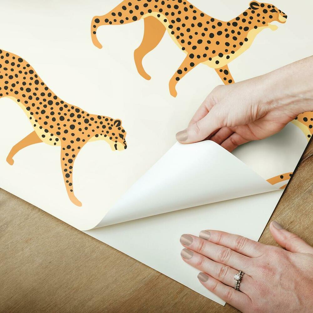 Cheetah Cheetah Peel and Stick Wallpaper Peel and Stick Wallpaper RoomMates   