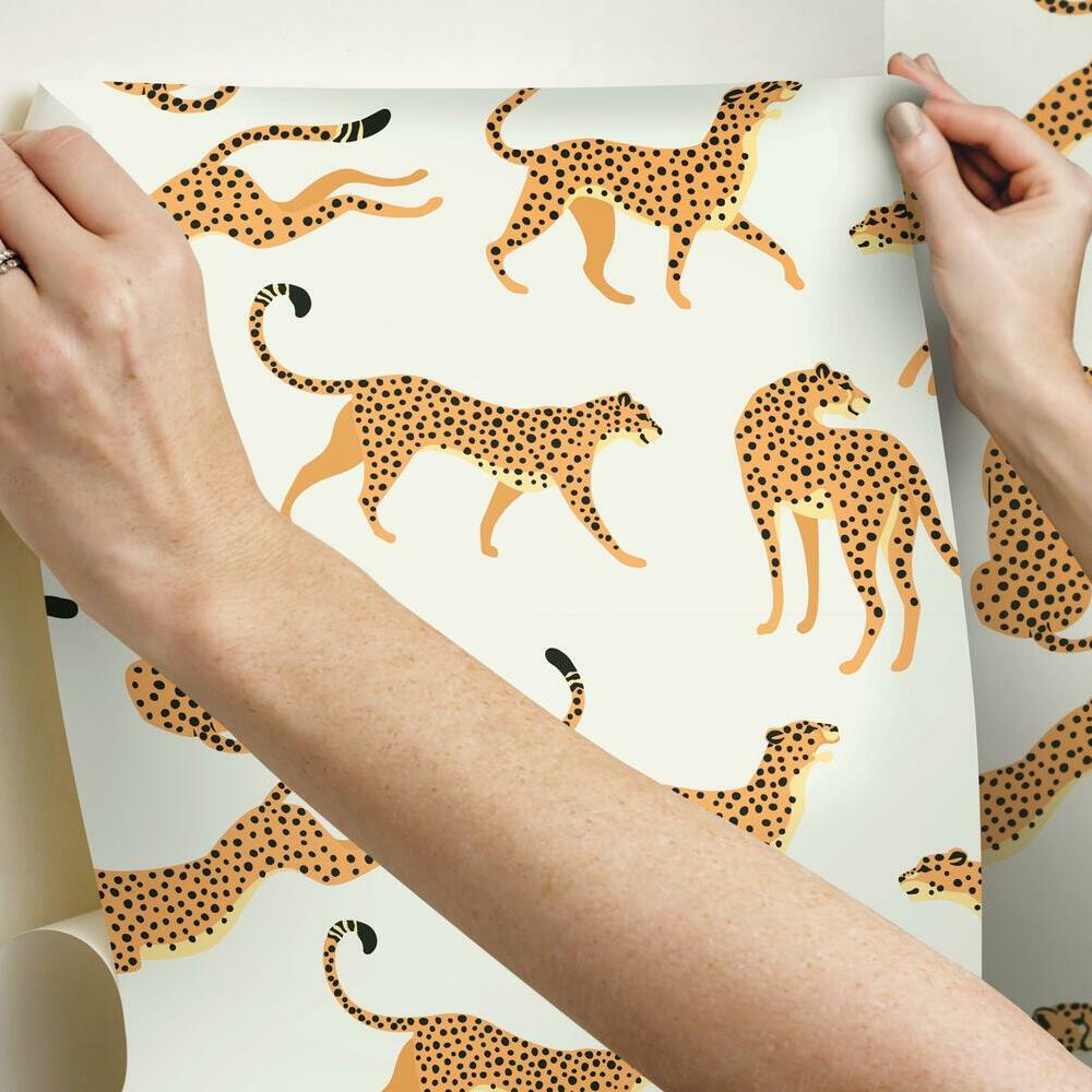 Cheetah Cheetah Peel and Stick Wallpaper Peel and Stick Wallpaper RoomMates   