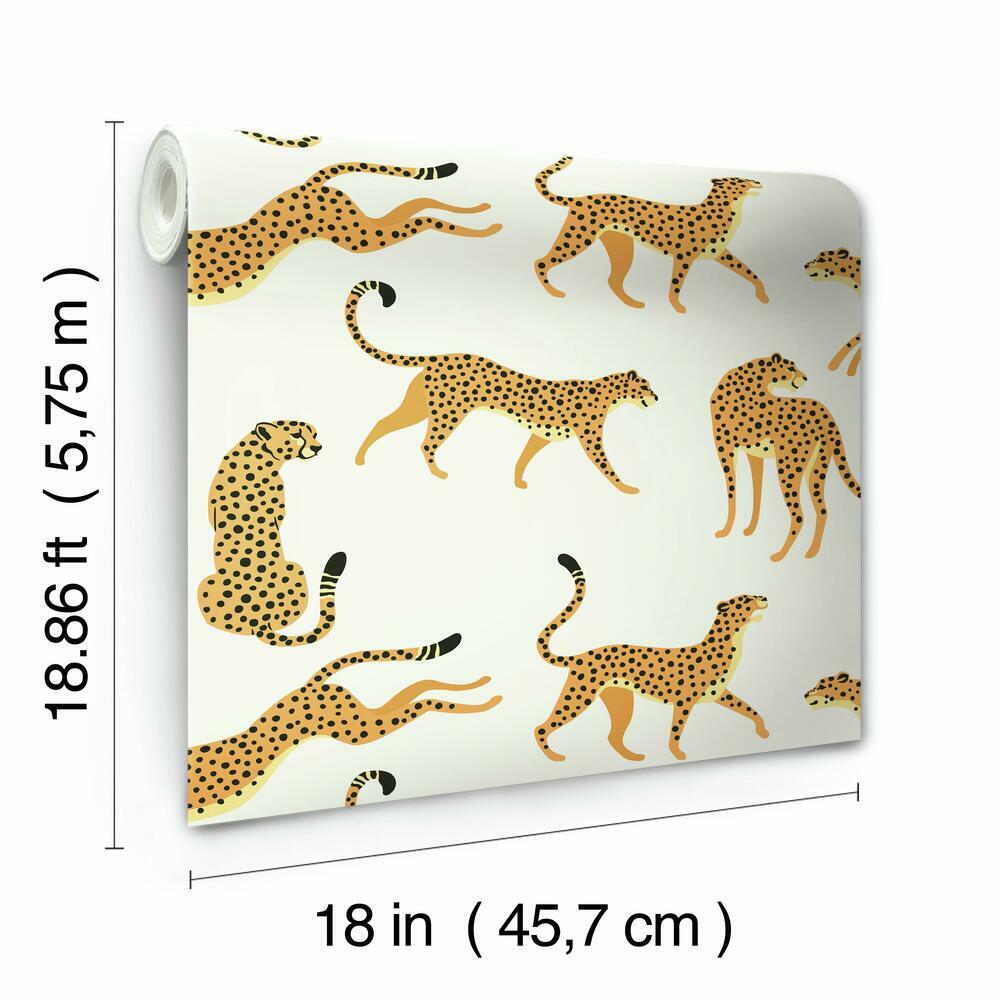 Cheetah Cheetah Peel and Stick Wallpaper Peel and Stick Wallpaper RoomMates   