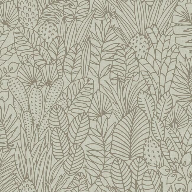Tropical Leaves Sketch Peel and Stick Wallpaper Peel and Stick Wallpaper RoomMates Roll Taupe 