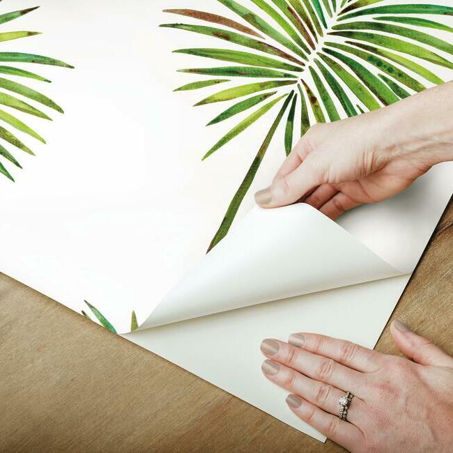 Cat Coquillette Fun Fronds Peel & Stick Wallpaper Peel and Stick Wallpaper RoomMates   