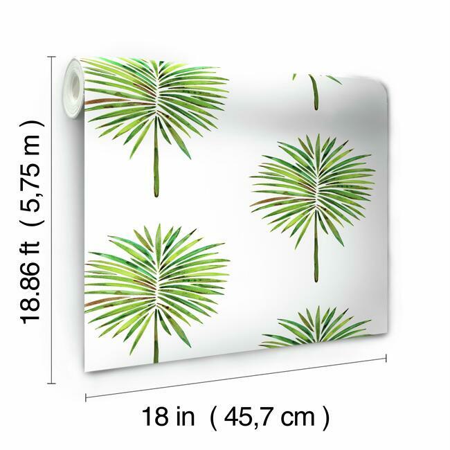 Cat Coquillette Fun Fronds Peel & Stick Wallpaper Peel and Stick Wallpaper RoomMates   