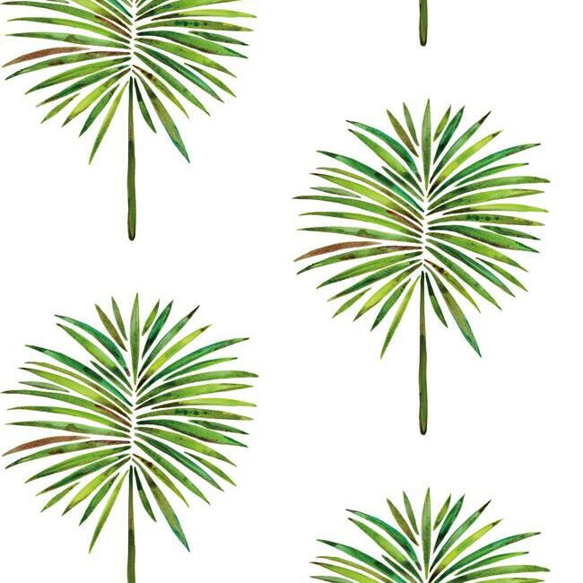 Cat Coquillette Fun Fronds Peel & Stick Wallpaper Peel and Stick Wallpaper RoomMates Roll Green 