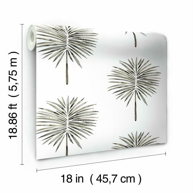 Cat Coquillette Fun Fronds Peel & Stick Wallpaper Peel and Stick Wallpaper RoomMates   