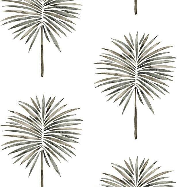 Cat Coquillette Fun Fronds Peel & Stick Wallpaper Peel and Stick Wallpaper RoomMates Roll Black 