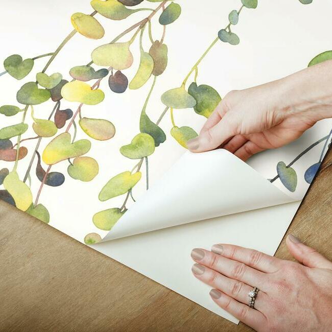 Hanging Watercolor Vines Peel and Stick Wallpaper Peel and Stick Wallpaper RoomMates   