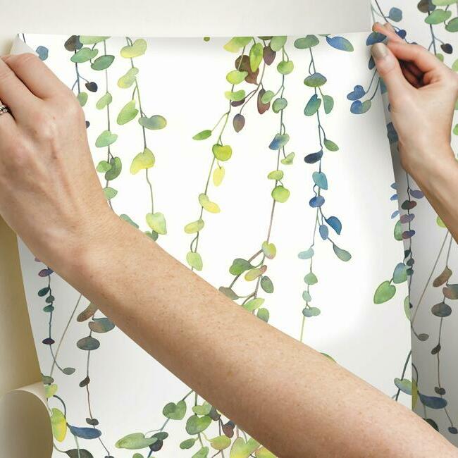 Hanging Watercolor Vines Peel and Stick Wallpaper Peel and Stick Wallpaper RoomMates   
