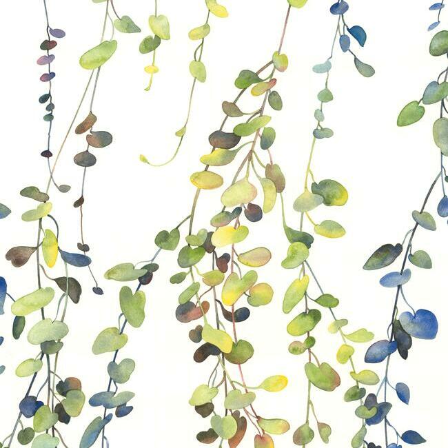 Hanging Watercolor Vines Peel and Stick Wallpaper Peel and Stick Wallpaper RoomMates   