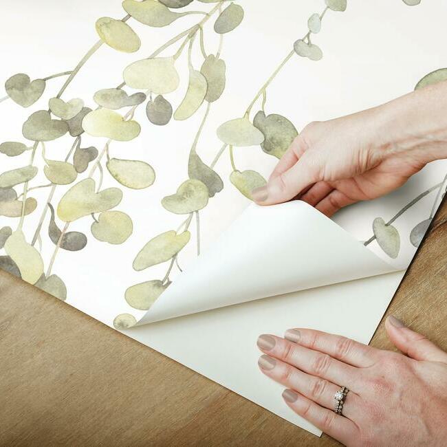 Hanging Watercolor Vines Peel and Stick Wallpaper Peel and Stick Wallpaper RoomMates   