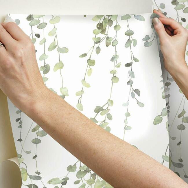 Hanging Watercolor Vines Peel and Stick Wallpaper Peel and Stick Wallpaper RoomMates   