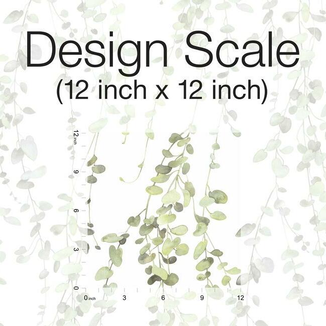 Hanging Watercolor Vines Peel and Stick Wallpaper Peel and Stick Wallpaper RoomMates   