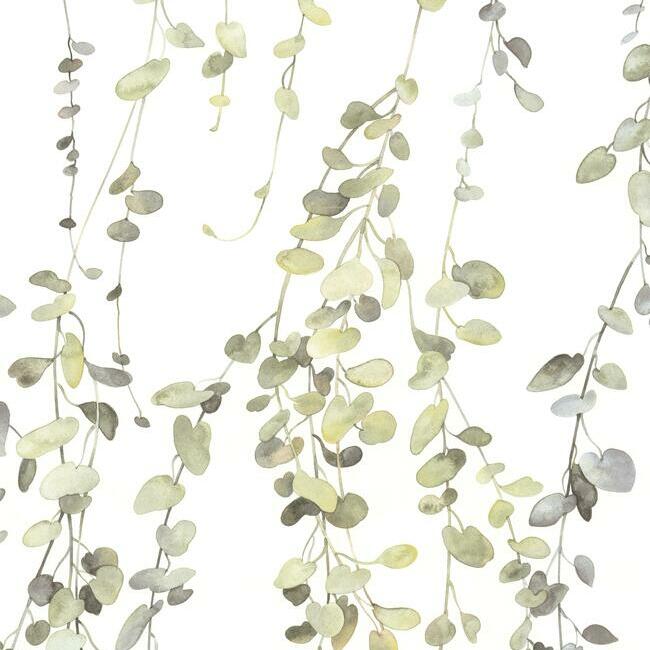 Hanging Watercolor Vines Peel and Stick Wallpaper Peel and Stick Wallpaper RoomMates   
