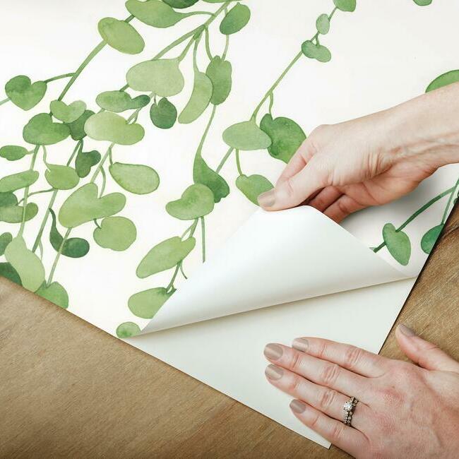 Hanging Watercolor Vines Peel and Stick Wallpaper Peel and Stick Wallpaper RoomMates   