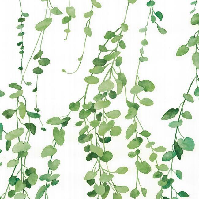 Hanging Watercolor Vines Peel and Stick Wallpaper Peel and Stick Wallpaper RoomMates Roll White 
