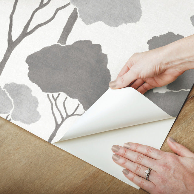 Umbrella Pines Peel & Stick Wallpaper Peel and Stick Wallpaper RoomMates   
