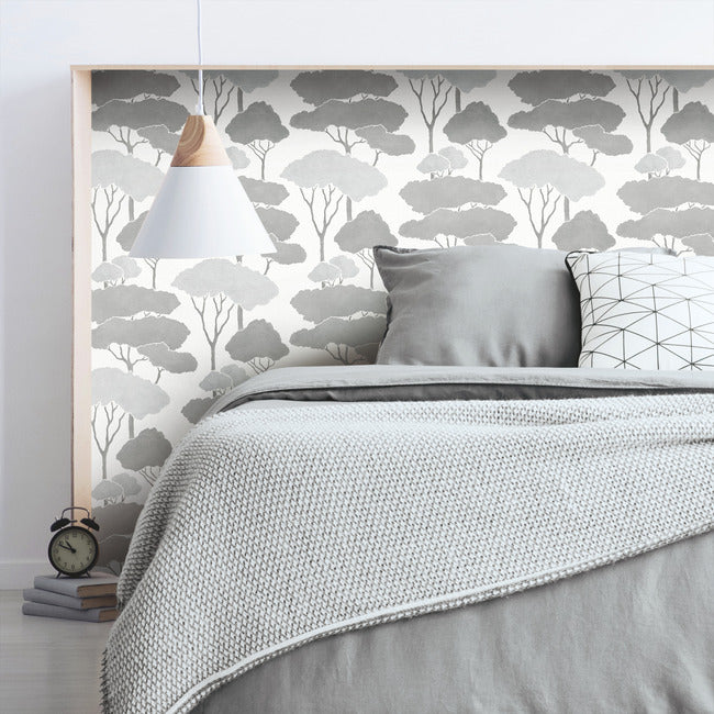 Umbrella Pines Peel & Stick Wallpaper Peel and Stick Wallpaper RoomMates   