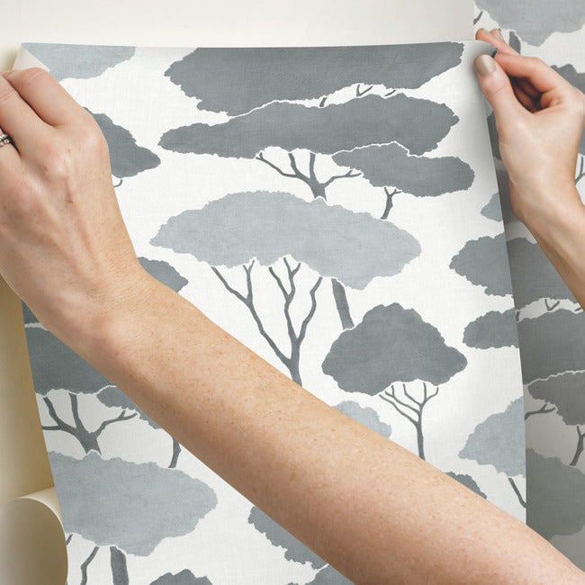 Umbrella Pines Peel & Stick Wallpaper Peel and Stick Wallpaper RoomMates   