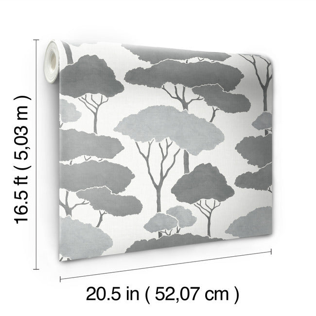 Umbrella Pines Peel & Stick Wallpaper Peel and Stick Wallpaper RoomMates   